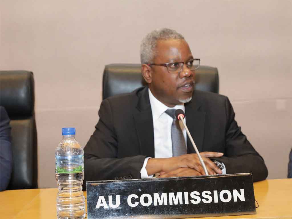 concluye-reunion-de-alto-nivel-sobre-mercado-africano-de-electricidad