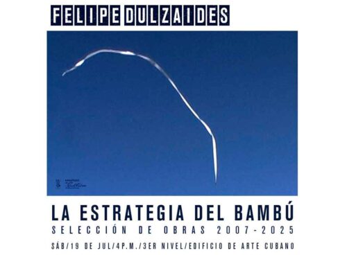 bellas-artes-de-cuba-acoge-muestra-la-estrategia-del-bambu