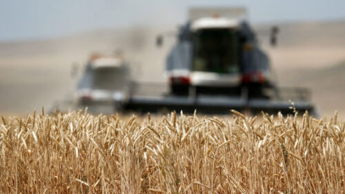 presentan-fao-y-ocde-las-perspectivas-agricolas-mundiales-2025-2034