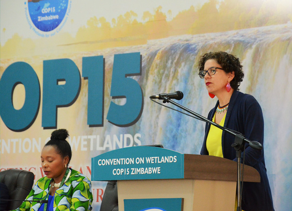 elegido-chile-miembro-del-comite-permanente-de-la-convencion-ramsar