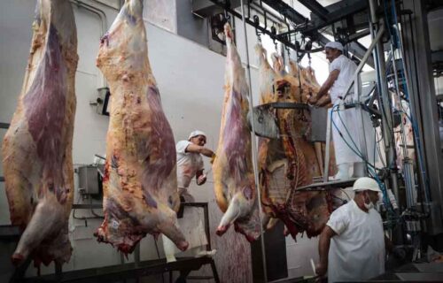 uruguay-incrementa-importaciones-de-carne-vacuna