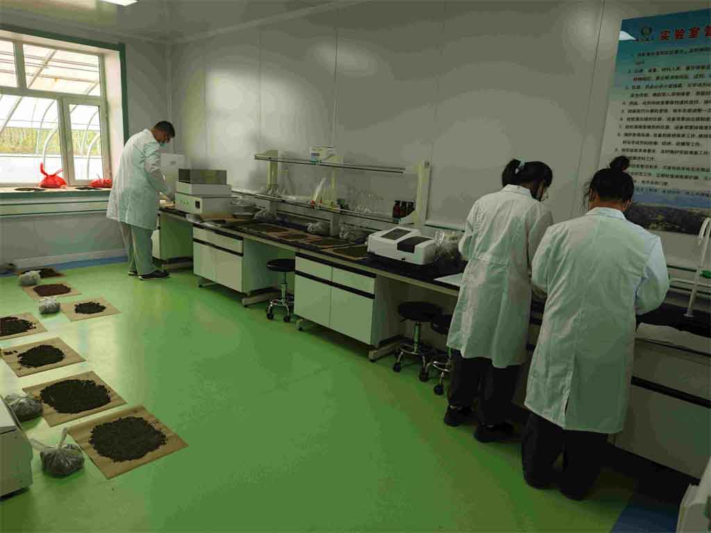 china-aplica-ciencia-tecnologia-e-innovacion-en-cuidado-de-bosques