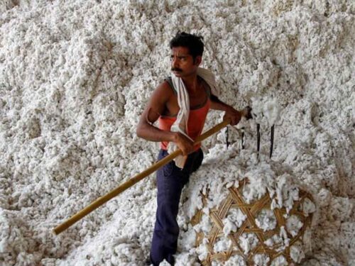 india-extiende-excencion-de-aranceles-a-importaciones-de-algodon