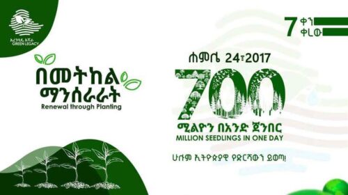 nuevo-record-para-siembra-de-arboles-en-un-dia-marco-semana-etiope