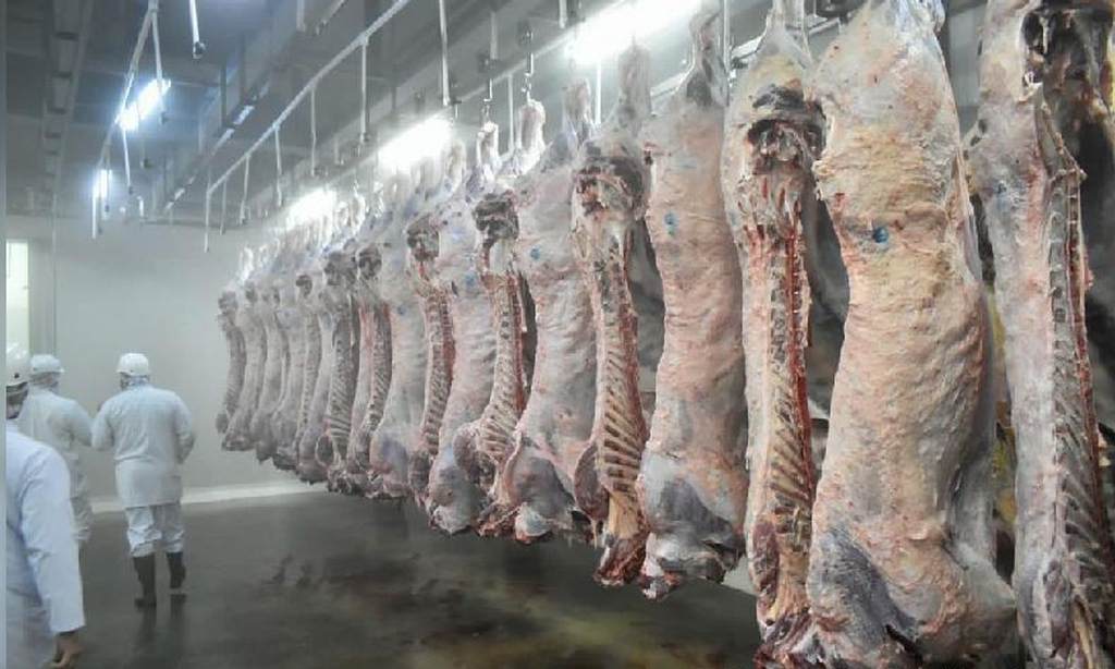 nicaragua-empresa-san-martin-inicio-exportacion-de-carne-a-china