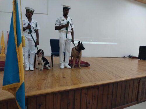 bahamas-retira-a-dos-activos-de-unida-canina-nacidos-en-cuba