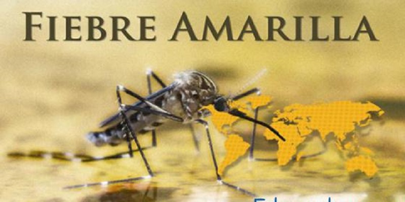 ecuador-elimina-requisito-de-vacunacion-contra-fiebre-amarilla