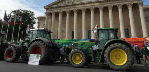 consejo-constitucional-frances-censura-reintroduccion-de-pesticida