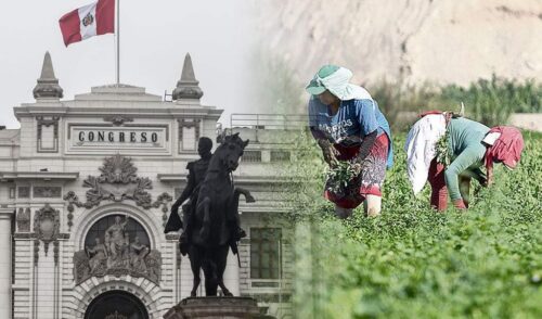 peru-nueva-ley-agraria-desata-rechazo-de-oganizaciones-y-economistas