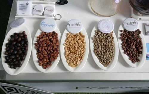 honduras-acogera-en-octubre-cumbre-mundial-del-cafe