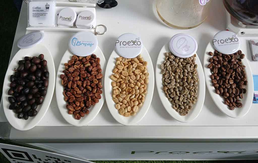 honduras-acogera-en-octubre-cumbre-mundial-del-cafe