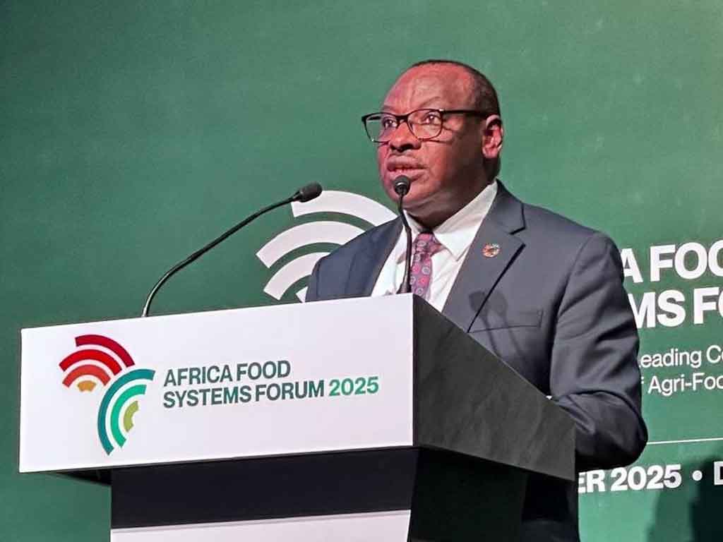 pese-a-riquezas-naturales-crisis-externas-agravan-desafios-en-africa