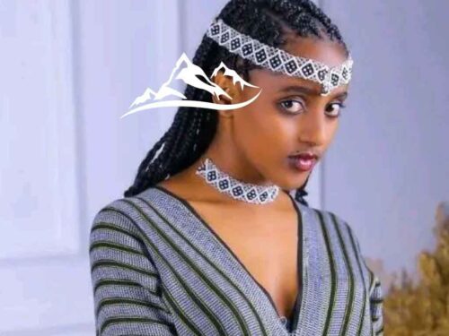 netsanet-sultan-representara-a-etiopia-en-el-concurso-intervision