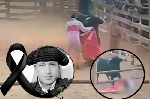 torero-aficionado-muere-embestido-por-un-toro-en-peru