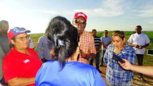 vicepresidente-de-cuba-chequea-programa-arrocero-en-centro-del-pais