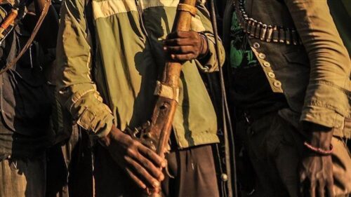 grupo-de-hombres-armados-secuestra-a-agricultores-en-nigeria