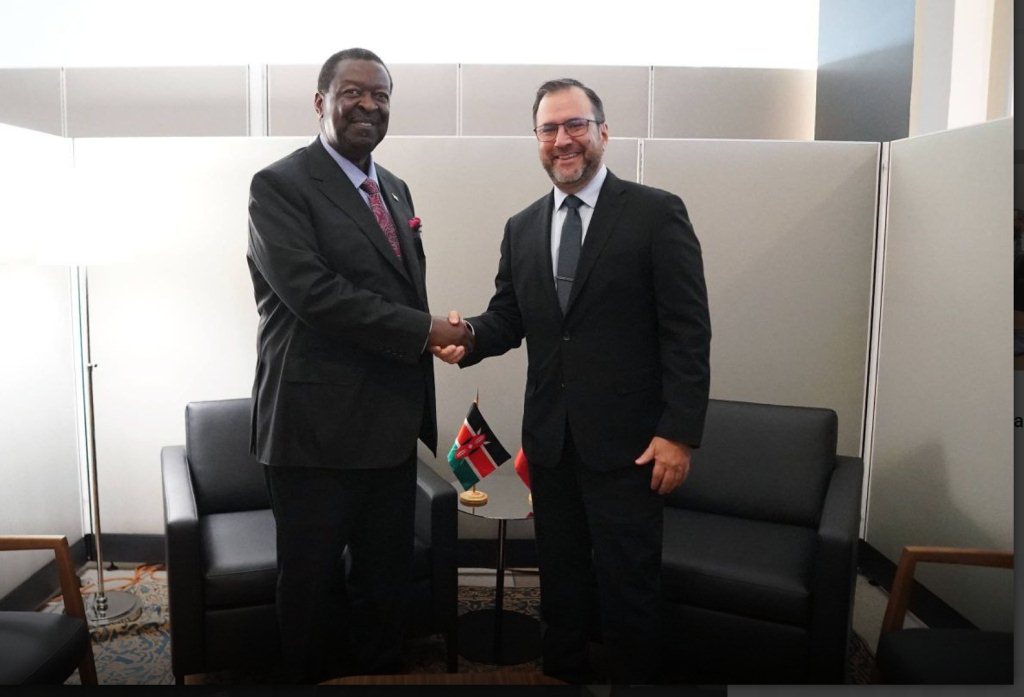 venezuela-y-kenya-revisaron-en-onu-relaciones-bilaterales