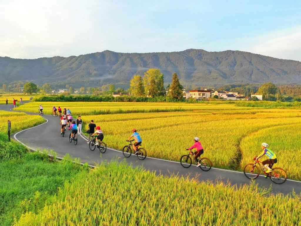 china-adopta-movilidad-en-dos-ruedas-como-solucion-ecologica-en-urbes