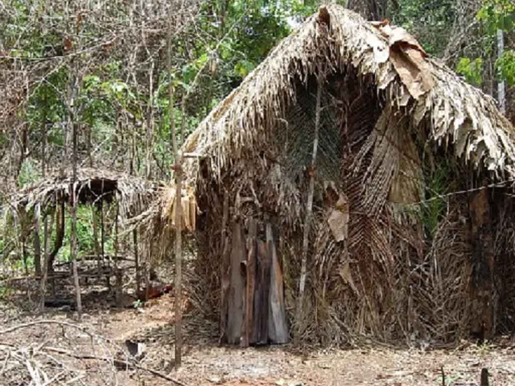 brasil-preserva-la-memoria-del-apodado-hombre-del-agujero