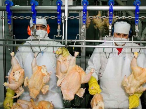 exportaciones-colombianas-se-abren-paso-en-mercados-de-asia