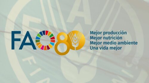 celebra-la-fao-su-aniversario-80-acentuando-la-lucha-contra-el-hambre