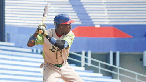 elefantes-vuelven-a-doblegar-a-las-avispas-en-serie-beisbolera-cubana