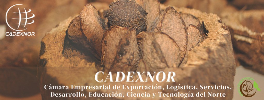 exportadores-amazonicos-de-bolivia-elogian-puente-binacional