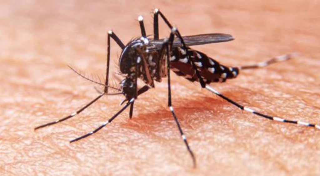 cuba-refuerza-la-batalla-contra-las-arbovirosis