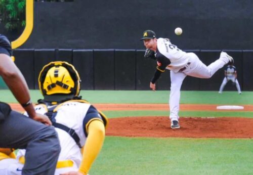 aguilas-estrellas-y-toros-los-tres-ganadores-en-beisbol-dominicano