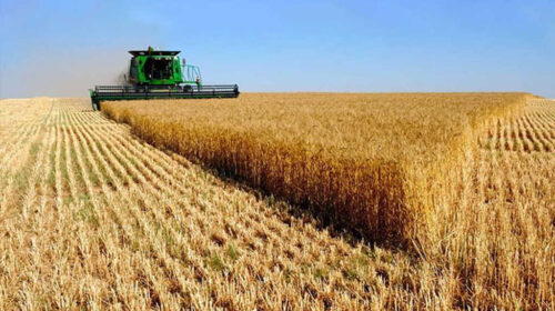 productores-argentinos-de-trigo-preven-cosecha-record