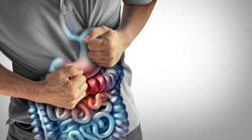 identifican-sustancias-con-efectos-nocivos-para-el-intestino