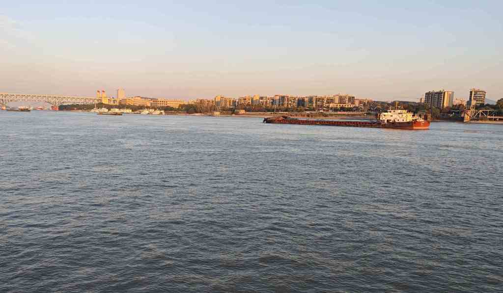 china-por-la-preservacion-de-la-marsopa-sin-aleta-del-rio-yangtse