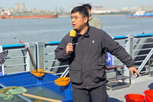 china-por-la-preservacion-de-la-marsopa-sin-aleta-del-rio-yangtse