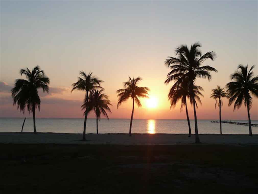 Fotos Roberto F. Campos