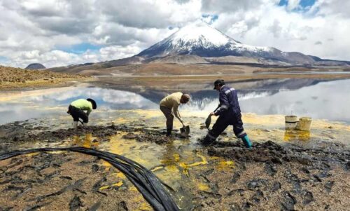 intensas-medidas-en-chile-para-salvar-lago-chungara-tras-derrame