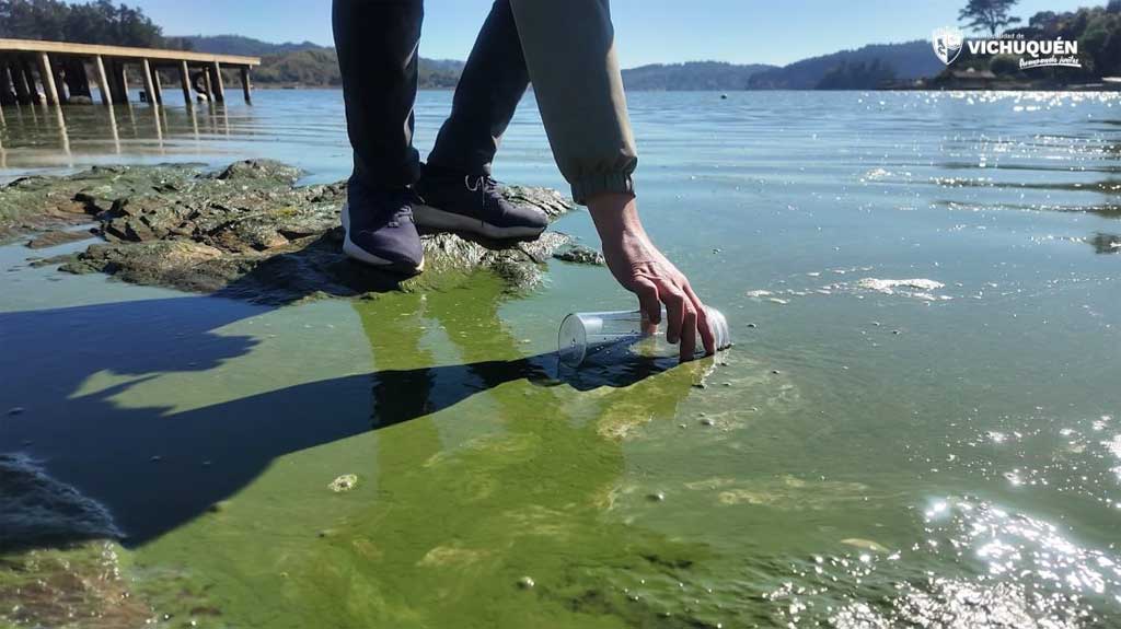 advierten-por-cianobacterias-en-lago-chileno-de-vichuquen