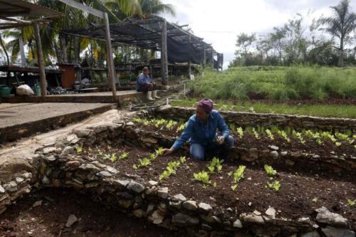 concluye-en-cuba-ix-encuentro-internacional-de-agroecologia
