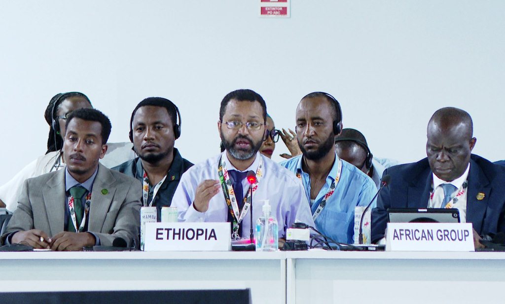 grupo-africano-de-negocidores-respaldo-a-etiopia-para-acoger-cop32