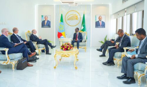 dialogo-etiopia-suecia-destaco-relaciones-bilaterales-de-larga-data
