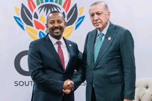 etiopia-fortalece-nexos-con-turkiye-y-finlandia-en-cumbre-g20