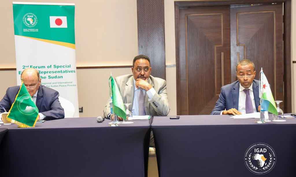 respuesta-a-crisis-en-sudan-centro-foro-de-enviados-especiales