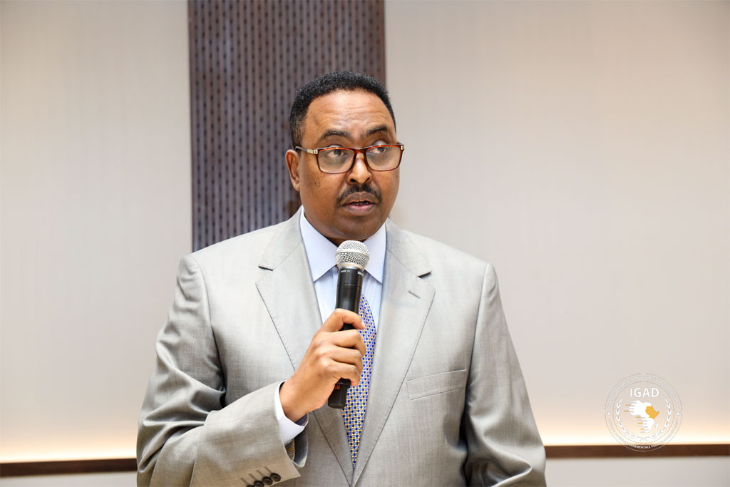 respuesta-a-crisis-en-sudan-centro-foro-de-enviados-especiales