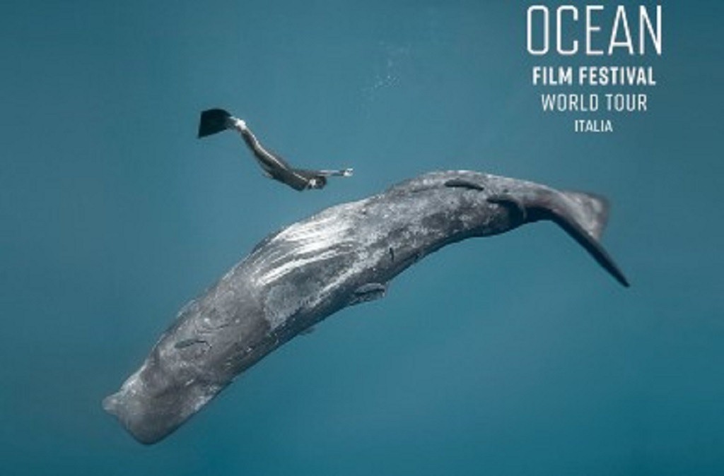 inicia-en-italia-festival-de-filmes-sobre-el-mundo-marino