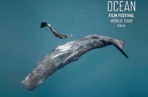 inicia-en-italia-festival-de-filmes-sobre-el-mundo-marino