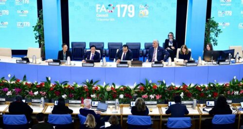 inicia-en-roma-el-179-periodo-de-sesiones-del-consejo-de-la-fao