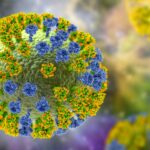 Flu virus. Illustration showing an influenza virus with surface glycoprotein spikes hemagglutinin (HA, trimer) and neuraminidase (NA, tetramer). The glycan components of the hemagglutinin spikes are yellow. Hemagglutinin takes part in attachment of a virus to human respiratory cells and neuraminidase participate in a release of virus from a cell. SSUCv3H4sIAAAAAAAACpxSy27jMAy8F9h/CHTeAJEfirO/UuyBluRYqCwaktxFEeTfV5LthEV76k0cjsgZkrdfL4cD6yEYyf4cbjlKsbF2CdFDNOgSzH9vuNdOaU+Rd1+LUwJOOwCGRlqZiN6ApWAPUY4OJp1At1ib4XtJshAhLkEHoqU31xBRvs0jRkx4s5eZ0amWagnjEqP2hU2JymuYQjSl4RPVMwYTS9lAExLc9w0nDN/QQWGvv/QEC9MHFcer2g+ZQdxKiPqaxvPZ77aL1zU+7IlNW0wpxraqq+2lL9gOrcV/9HN9/H2YuGons4vbnaj22mpYd/S6UtnbvzT3qbjYSLAog8TVO0qwmVCTSrM30rgr+YZxLPe1f5O4uOg/qHJmEWfobV7mkGrqHR8hhERXO04Hna4ZJ9LHYSwGtqpMpU3kkNd1zXk66QvvuDi34rwR1sMcTapT5OwCl9kiKJ2bPqb9vExRX06iaqr6MfXnYYhOCMG77rKm6ITLNRlF52lyBzZ0ivOB82PVDPzY1Gd1vFSNPMq2apvU6NzqKm3z/h8AAP//AwAcv1cV1gMAAA==