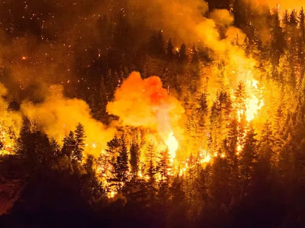 Incendios en Chubut, Argentina