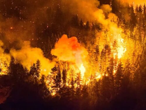 Incendios en Chubut, Argentina