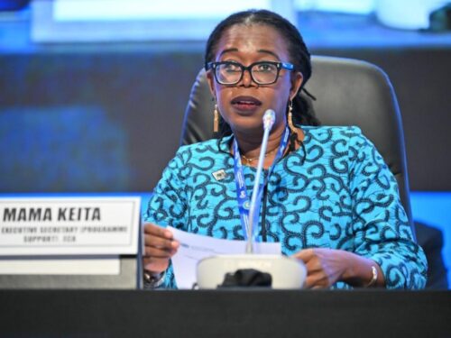 fuerza-laboral-africana-con-potencial-para-revolucion-digital-global