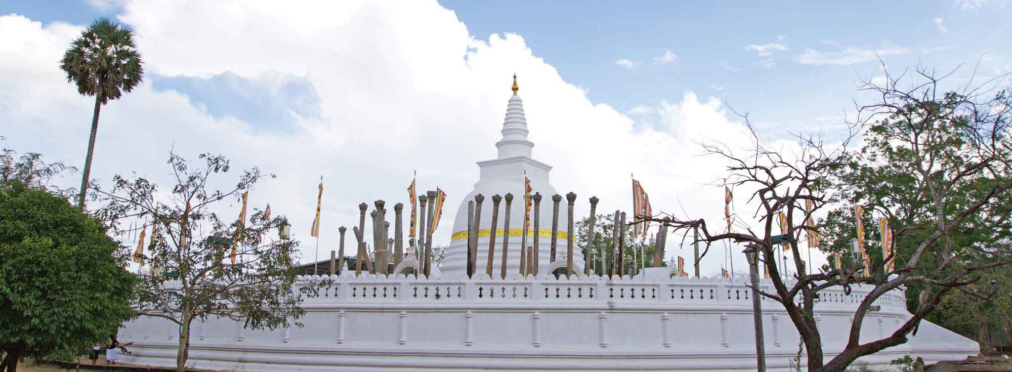 sri-lanka-reporta-auge-del-peregrinaje-tras-el-medin-poya